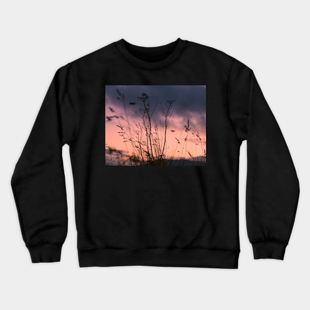 Sunset Crewneck Sweatshirt by bunlinked